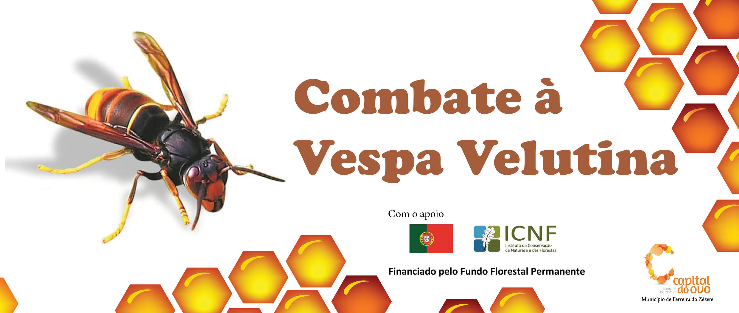 Combate à Vespa Velutina