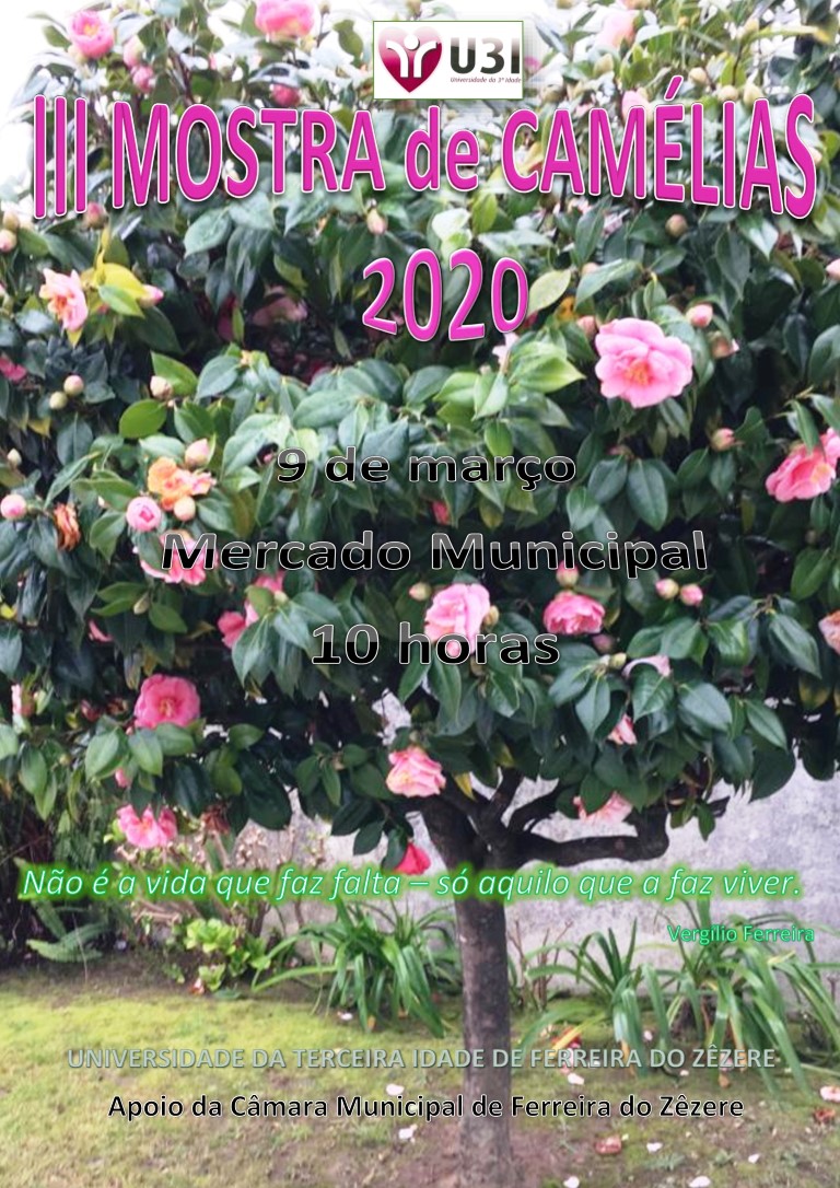 III Mosta de Camélias